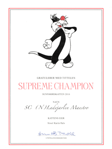 Supreme Champion