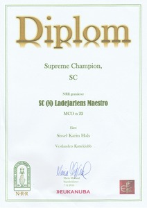 Diplom SC (N) Ladejarlen Maestro