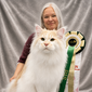 JCH KCH SE*WH Jolly Tail's Vale (Party-svensken)